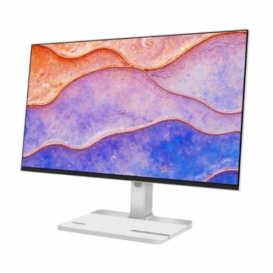 Lenovo L24D-4C 23.8 Inch FHD Display HDMI & USB-C Professional Monitor