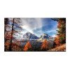 Uniview UNV MW-3265-F 65" 4K UHD IPS Monitor