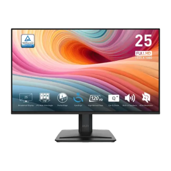 MSI PRO MP251 E2 24.5