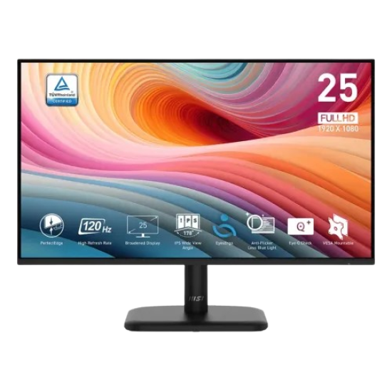 MSI PRO MP251L E2 24.5