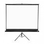 Apollo 96"x96" Tripod Projection Screen